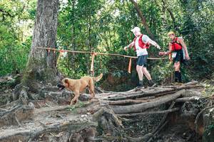 BIB: 
                            <button type="button" onclick="openModal(27742890)" class="btn btn-primary btn-sm float-right btn-popup" data-toggle="modal" data-target=".modal-high-quality">
                        <i class="fas fa-shopping-cart"></i> Add to Cart
                    </button>
                                            <button type="button" onclick="isThisMe(27742890, true)" class="btn btn-success btn-sm float-right btn-popup btn-isme hidden" data-toggle="tooltip" data-placement="bottom" title="นี่คือรูปของคุณใช่ไหม คลิกที่นี่เพื่อเอาเข้าอัลบั้ม">
                        <i class="fas fa-plus"></i> Add to album
                    </button>
                    <button type="button" onclick="isThisMe(27742890, false)" class="btn btn-warning btn-sm float-right btn-popup btn-isnotme hidden">
                        <i class="fas fa-ban"></i> Remove from album
                    </button>